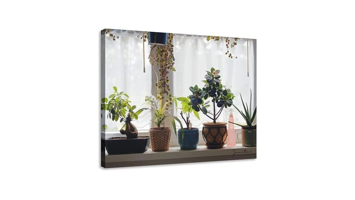 Woxfcart Bathroom Plant Canvas Wall Art, Small Green Potted Plants