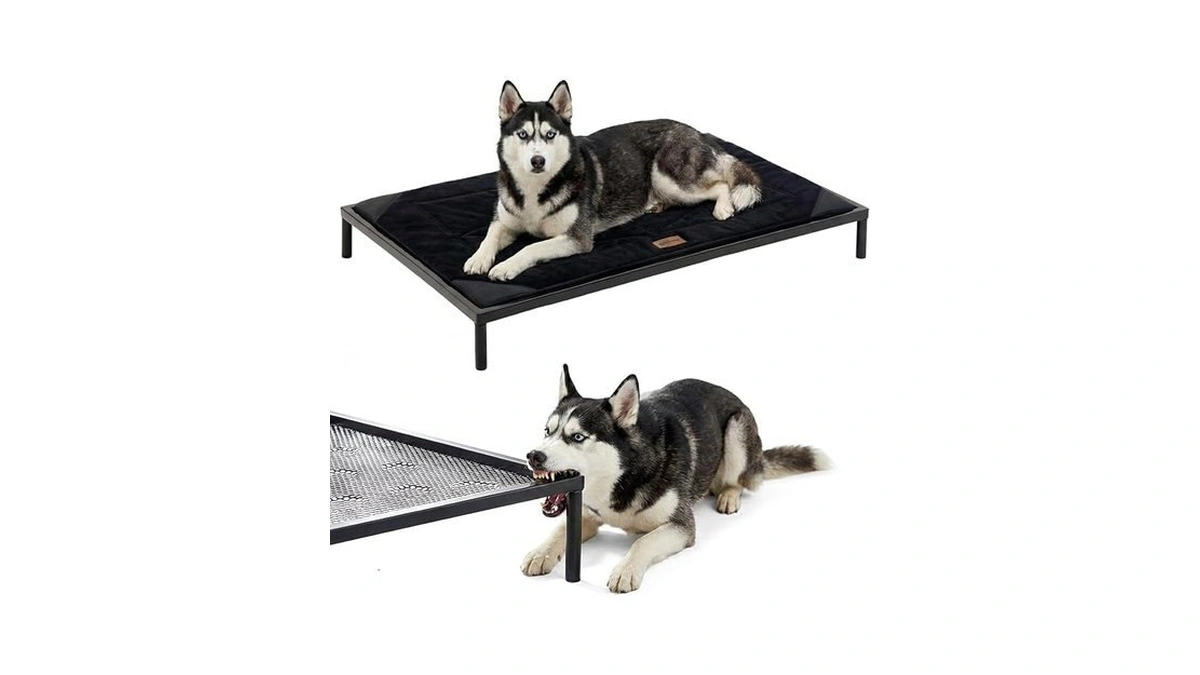 Zomisia Chew Proof Elevated Dog Bed For Large Dogs -