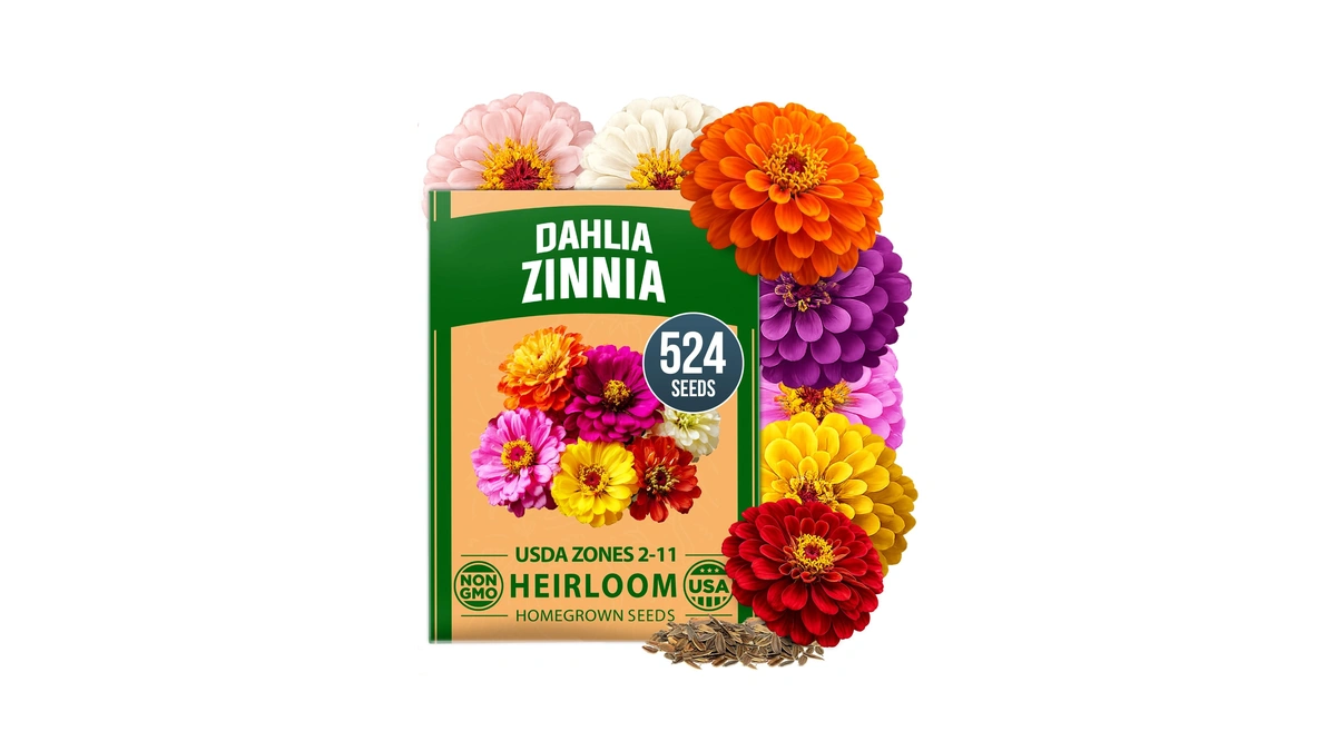 Home Grown Zinnia Dahlia Seeds Pack For 2026 Non Gmo