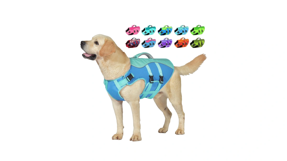 Petglad Dog Life Jacket, High Buoyancy Dog Life Vest With