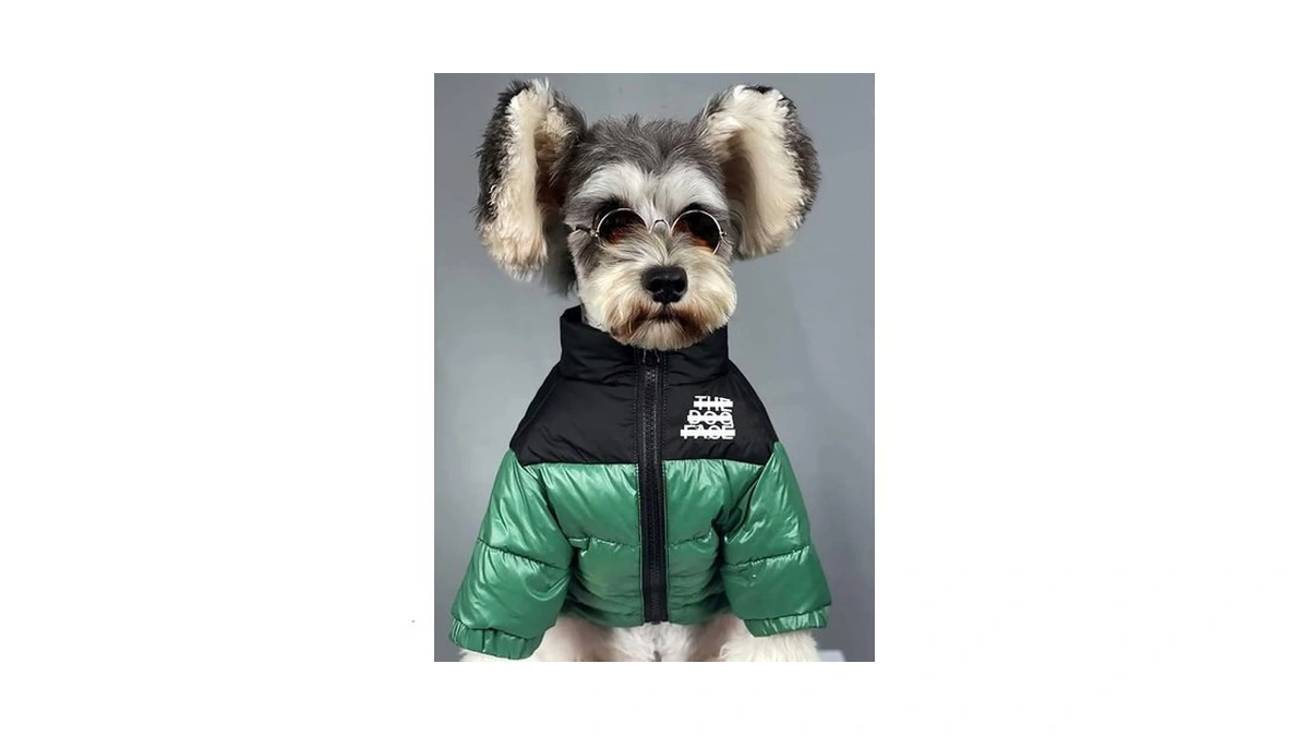 Dog Winter Coat Duck Down Jacket For Small Medium Dogs-thicken