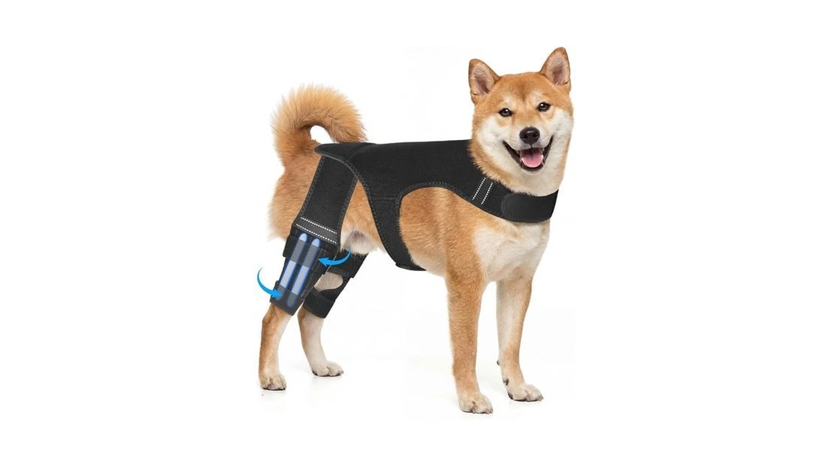 Atiansen Dog Knee Brace For Hind Leg, Adjustable Dog Rear