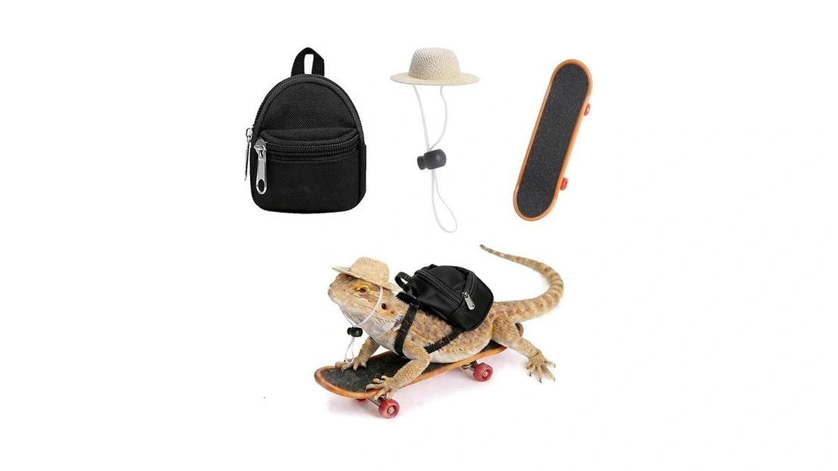 Haezu Bearded Dragon Clothes Lizard Toy - Mini Hat,skateboard,backpack Gifts