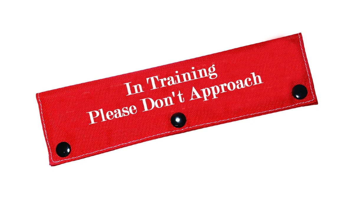 Funny Dog Leash Sleeve In Training Please Don't Approach Dog