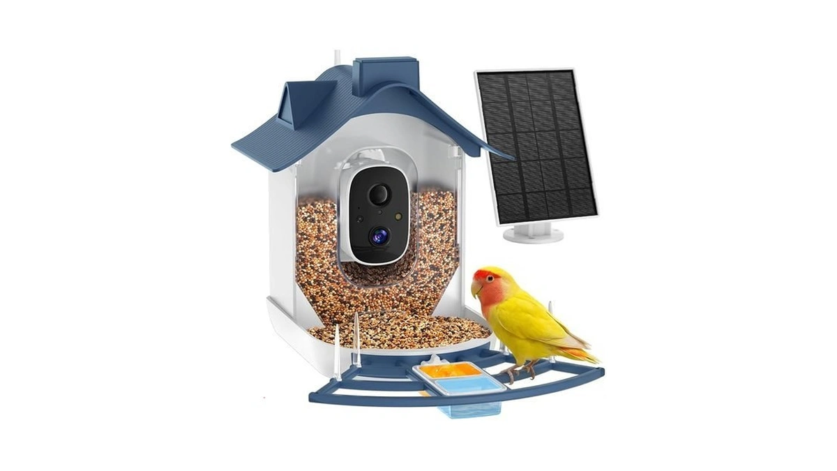Smart Bird Feeder With Camera, Ai Bird Identification, Solar Powered