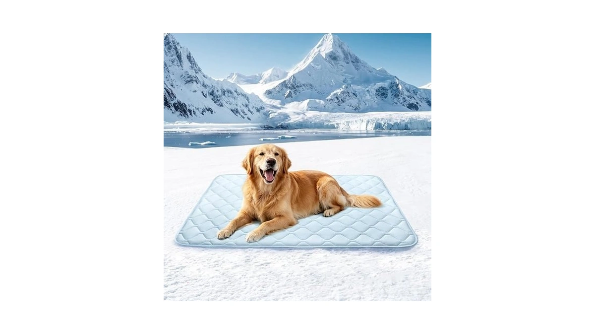 Buvlnee Dog Cooling Mat 2.0, 41x28in Portable Pet Cooling Mat
