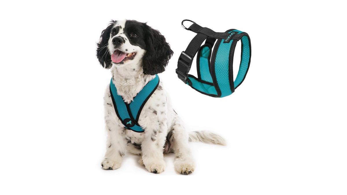 Gooby Comfort X Head In Harness - Turquoise, Large -