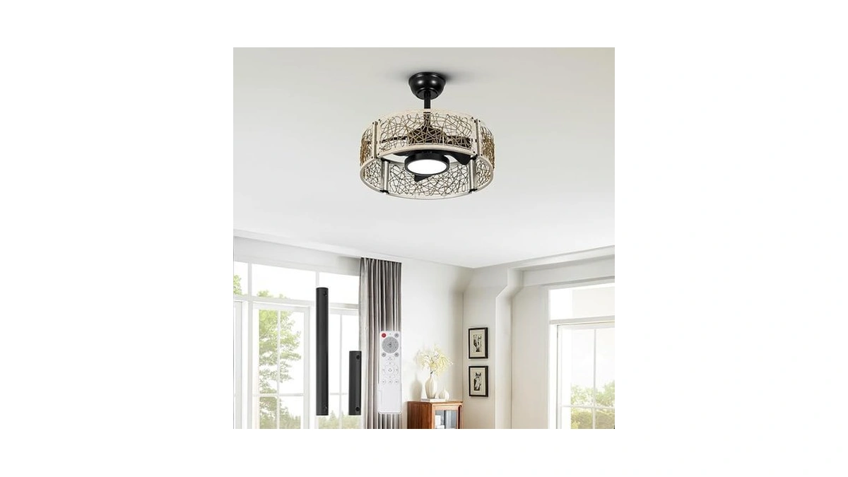 Taloya 20 Inch Caged Ceiling Fans With Lights Chandelier Remote