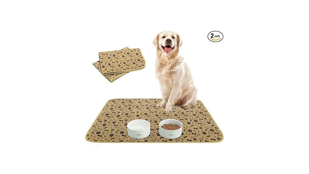 Bingpet Waterproof Dog Food Mat Non-slip - 2 Pack Dog