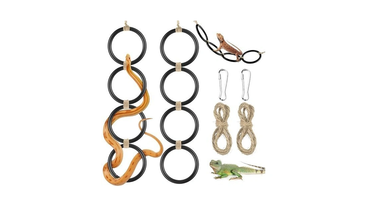 Dbness 2pcs Snake Climbing Rings, Ball Python Enrichment Hoop Chain