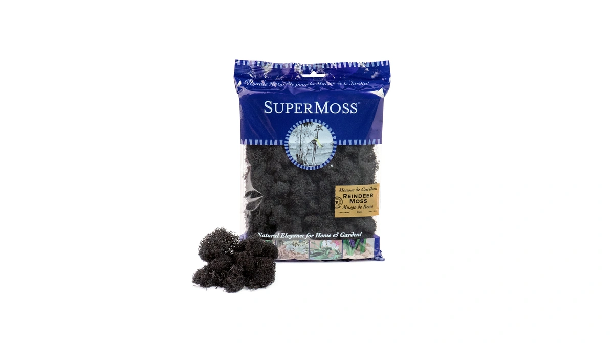 Super Moss (25123 Reindeer Moss Preserved, Black, 2oz