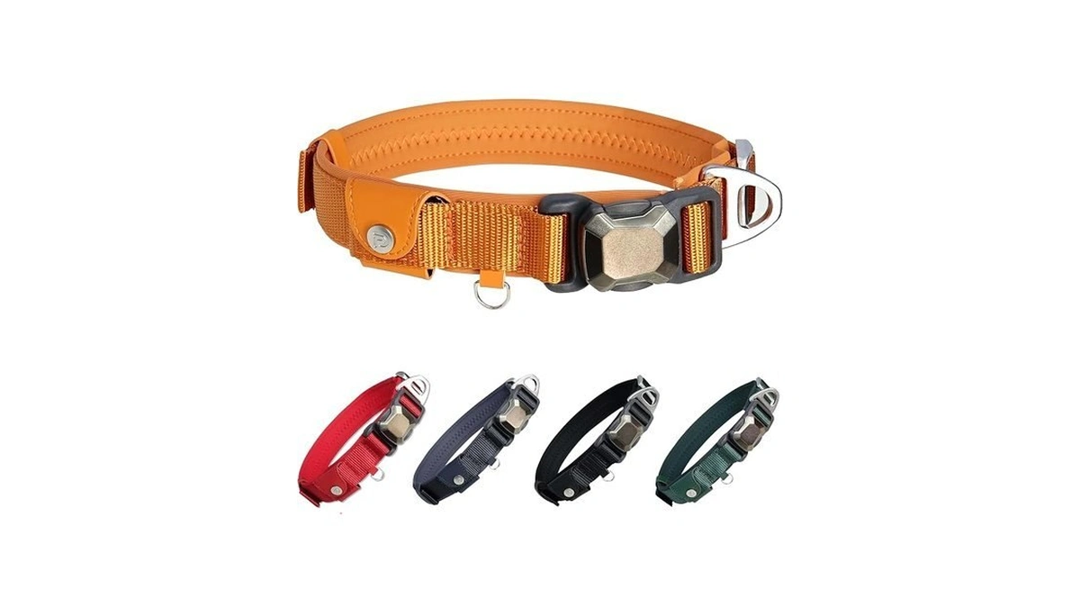 Amazon : Upgraded Airtag Dog Collar, Adjustable D