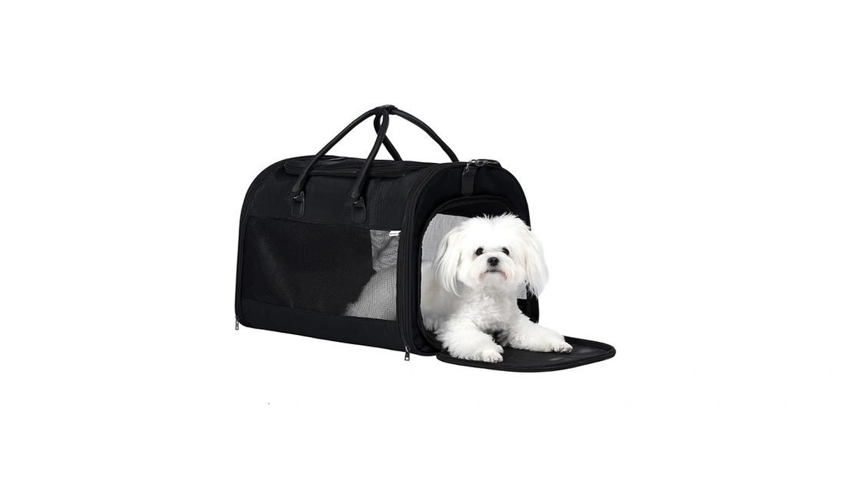 Amazon : Pet Marvel Cat Carrier Soft Sided Large