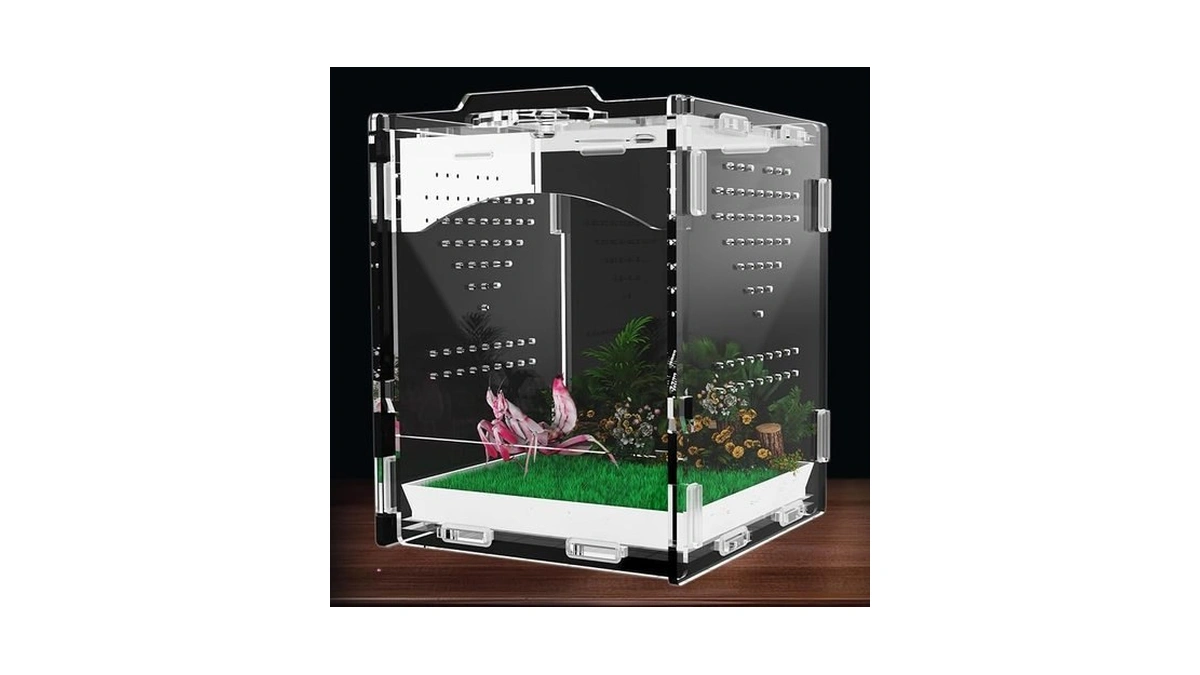 Acrylic Jumping Spider Enclosure, Insect Terrarium, Praying Mantis Habitat, Bug