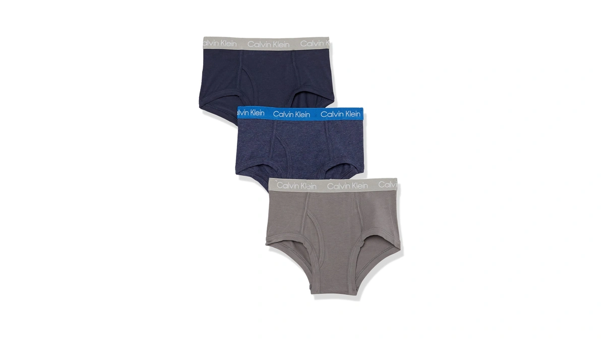 Calvin Klein Kids Boys' Modern Cotton Brief Underwear 3-pack, Blue/castle