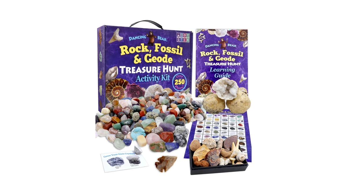 Dancing Bear Rock, Mineral & Geodes Treasure Hunt Activity Kit