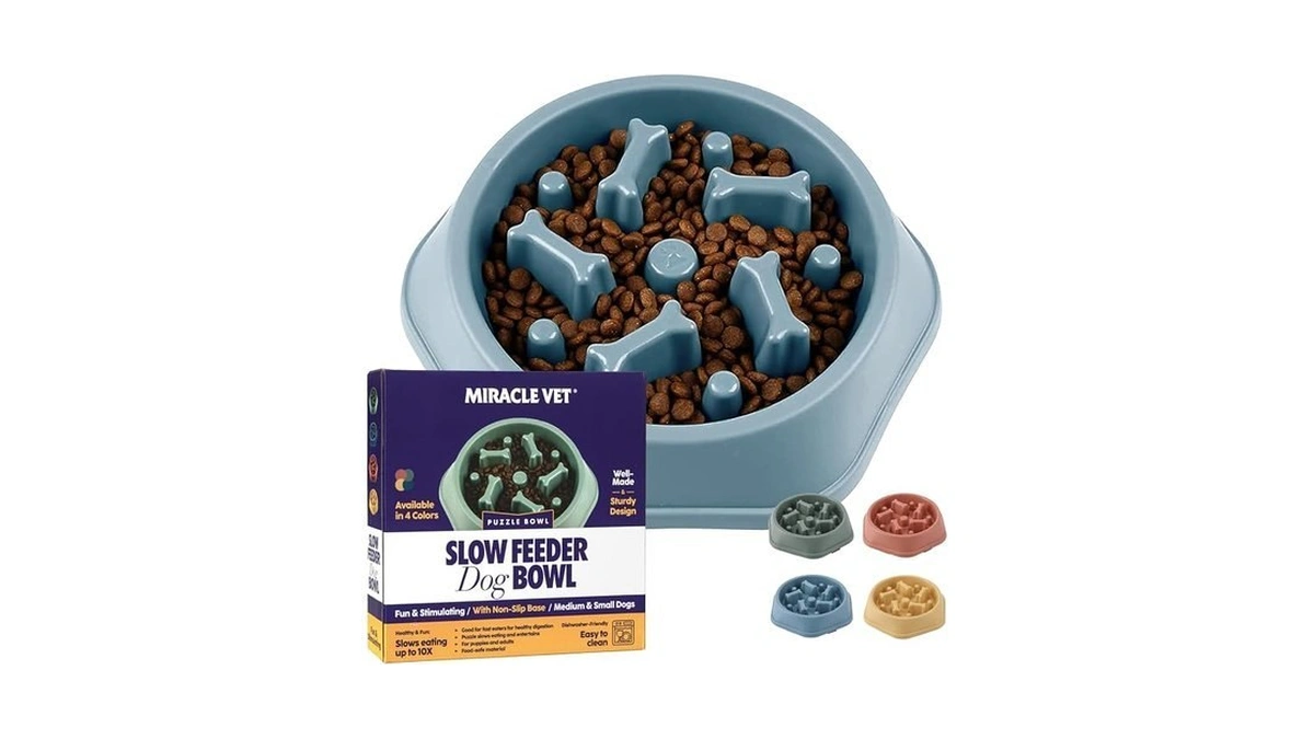 Miracle Vet Slow Feeder Dog Bowls For Fast Eaters -
