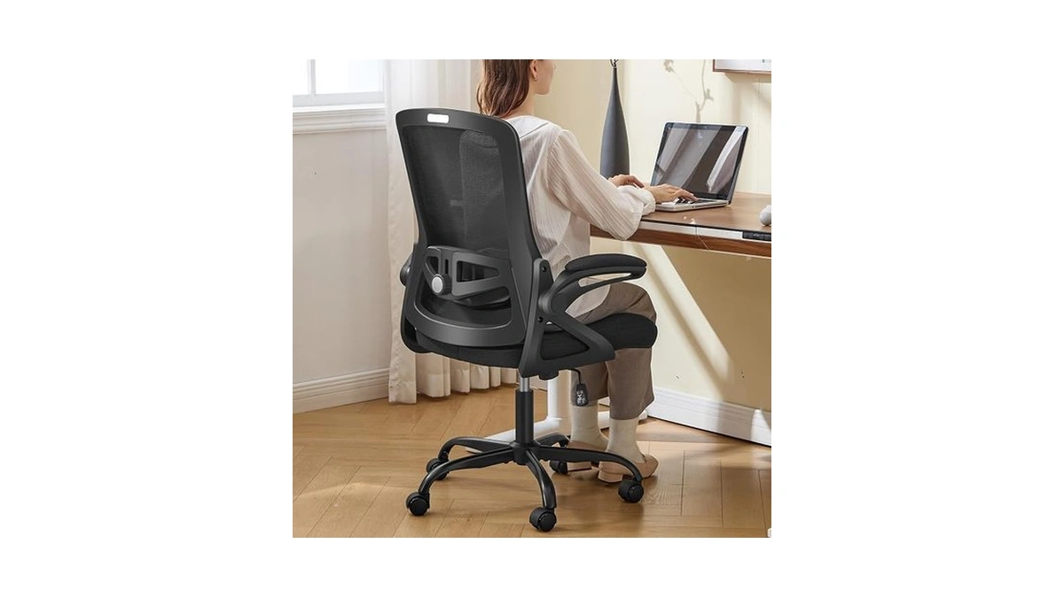 Nexthro Ergonomic Office Chair, Desk Chair With Adjustable Lumbar Support,