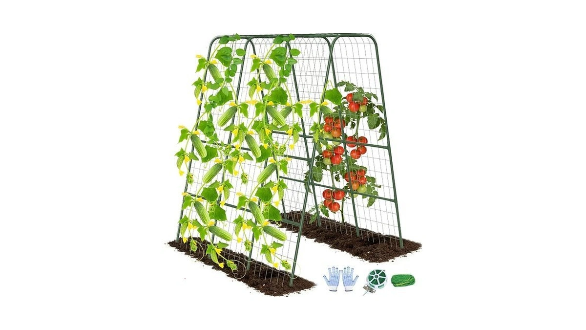 Cucumber Trellis For Raised Bed, 63" Heavy Duty U-shape Garden