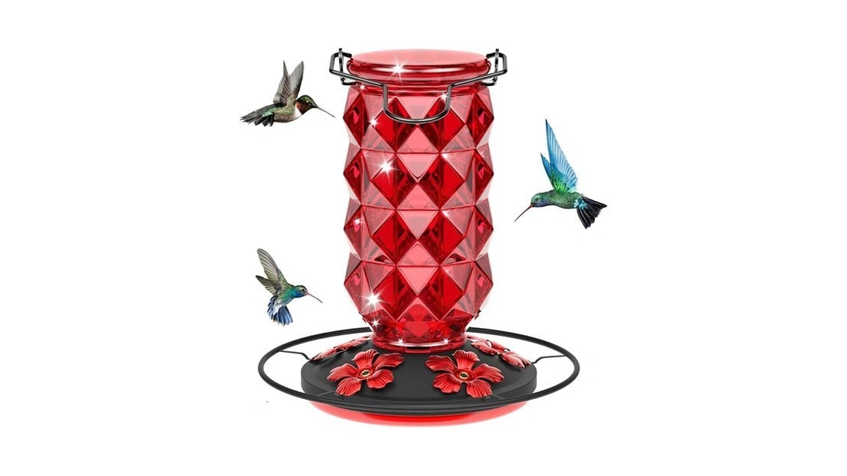 Glass Hummingbird Feeders For Outdoors Hanging, 25oz Bird Nectar Feeder