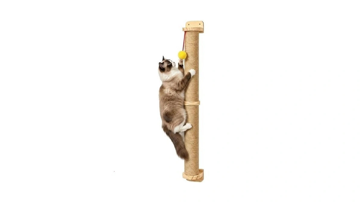 Cat Climbing Wall Systems - 35in Wall Mounted Cat Shelves