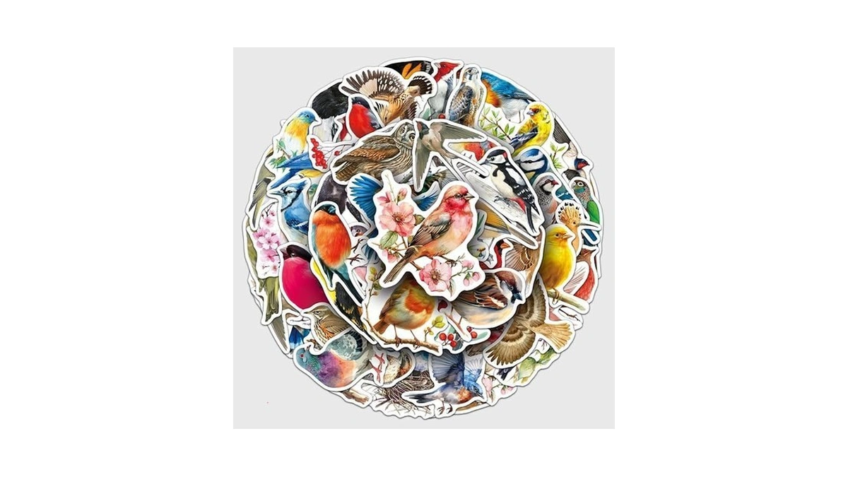 Bird Laptop Stickers Pack 50 Pcs Colorful Bird Vinyl Decals