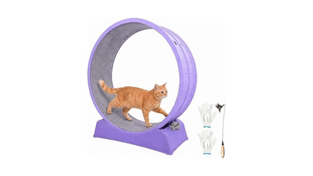 33" Large Cat Wheel With Detachable Carpet & Teaser For