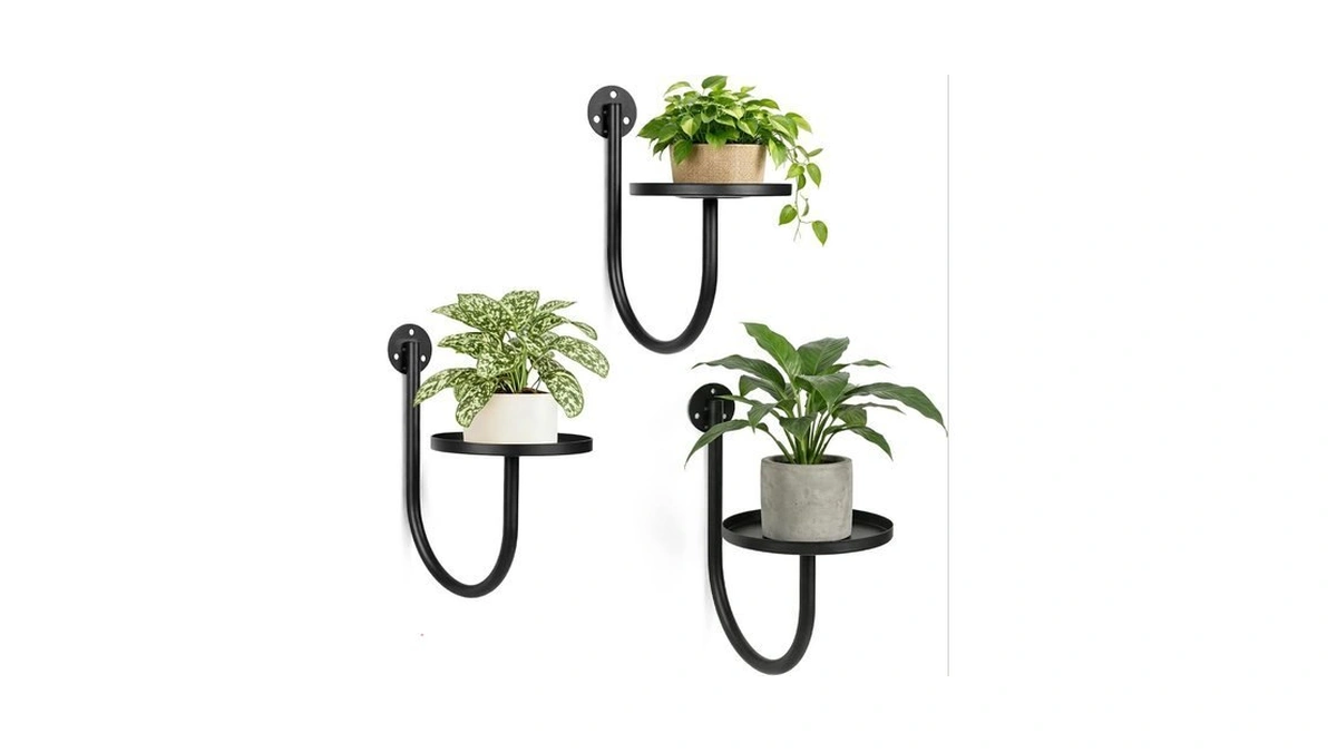Suncket Wall Plant Holders For Indoor Plants, 3 Pack Metal