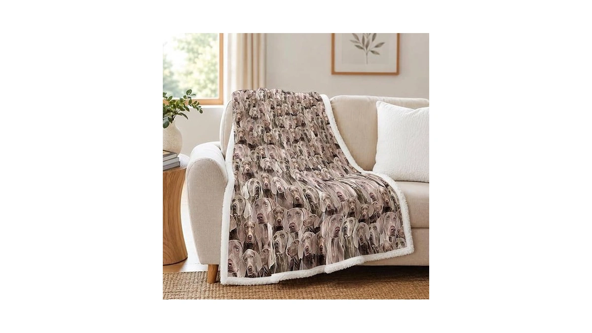 Amazon : Blessliving Weimaraner Brown Throw Blank