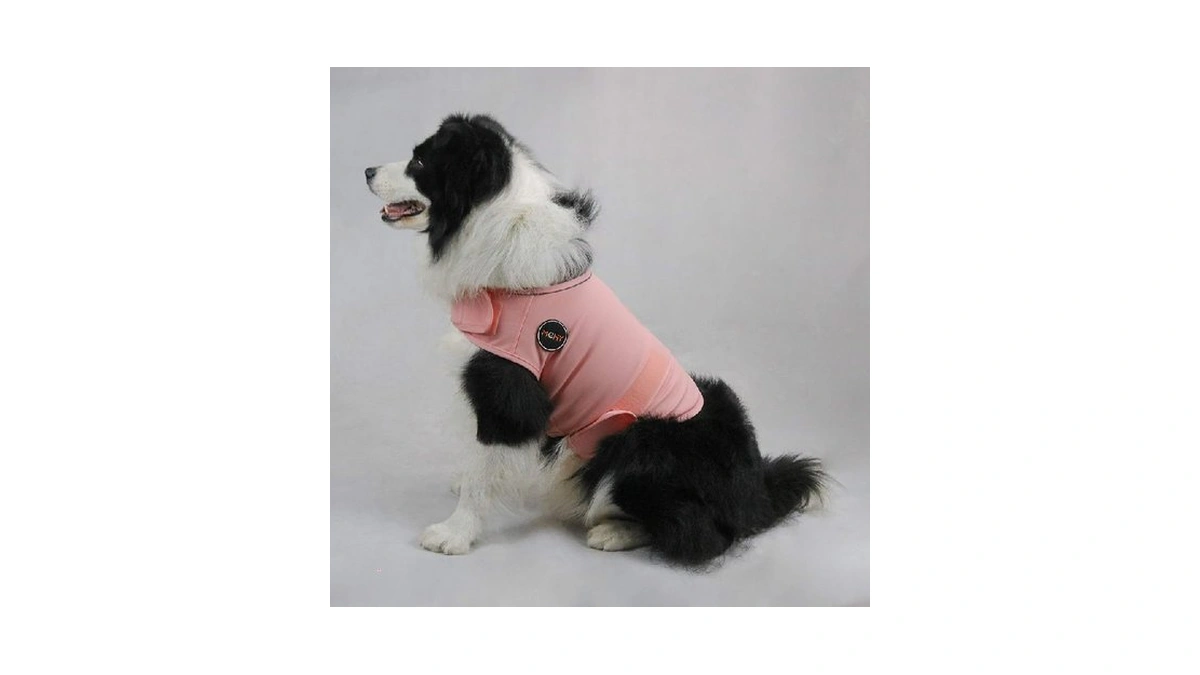 Amazon coupon: Mchy Dog Anxiety Vest, Anxiety Relief Fo