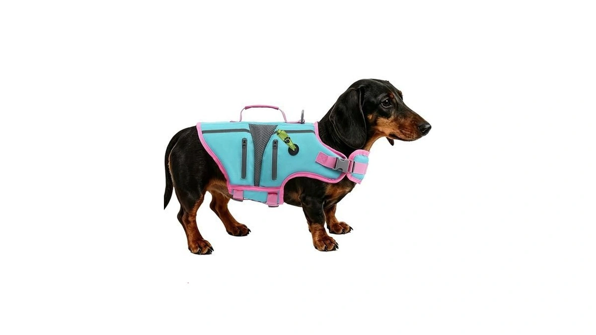 Emust Dog Life Jacket, Small Dog Swimming Vest With Breathable