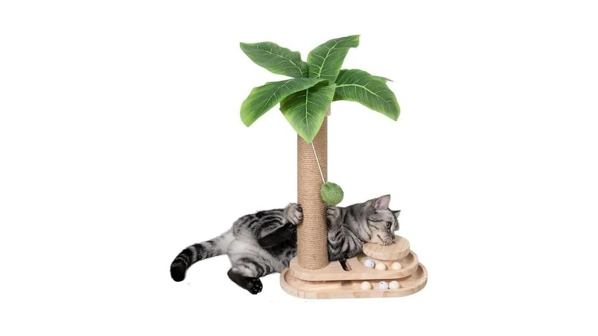 Meowoou Cat Scratching Post Cat Scratcher Interactive Toy With Dangling