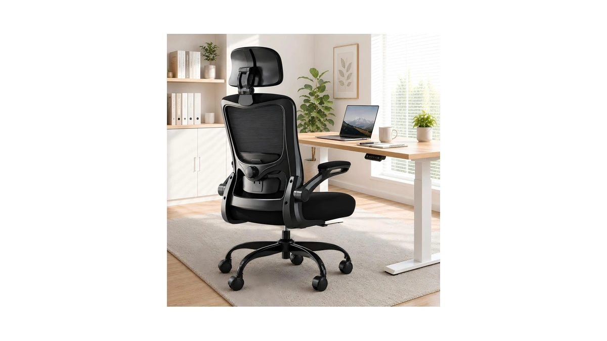 Ergonomic Office Chair For Long Hours, Adjustable Padded Lumbar Support