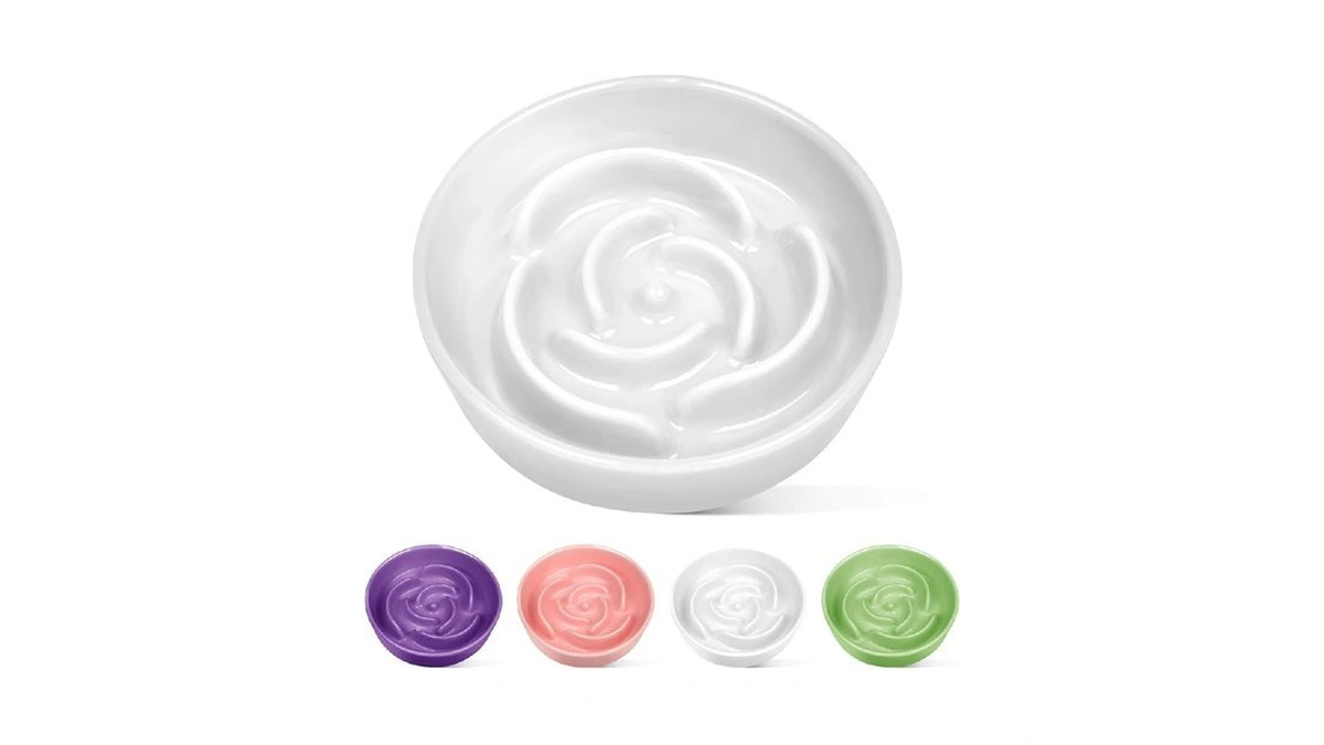 Truvic Ceramic Slow Feeder Bowls