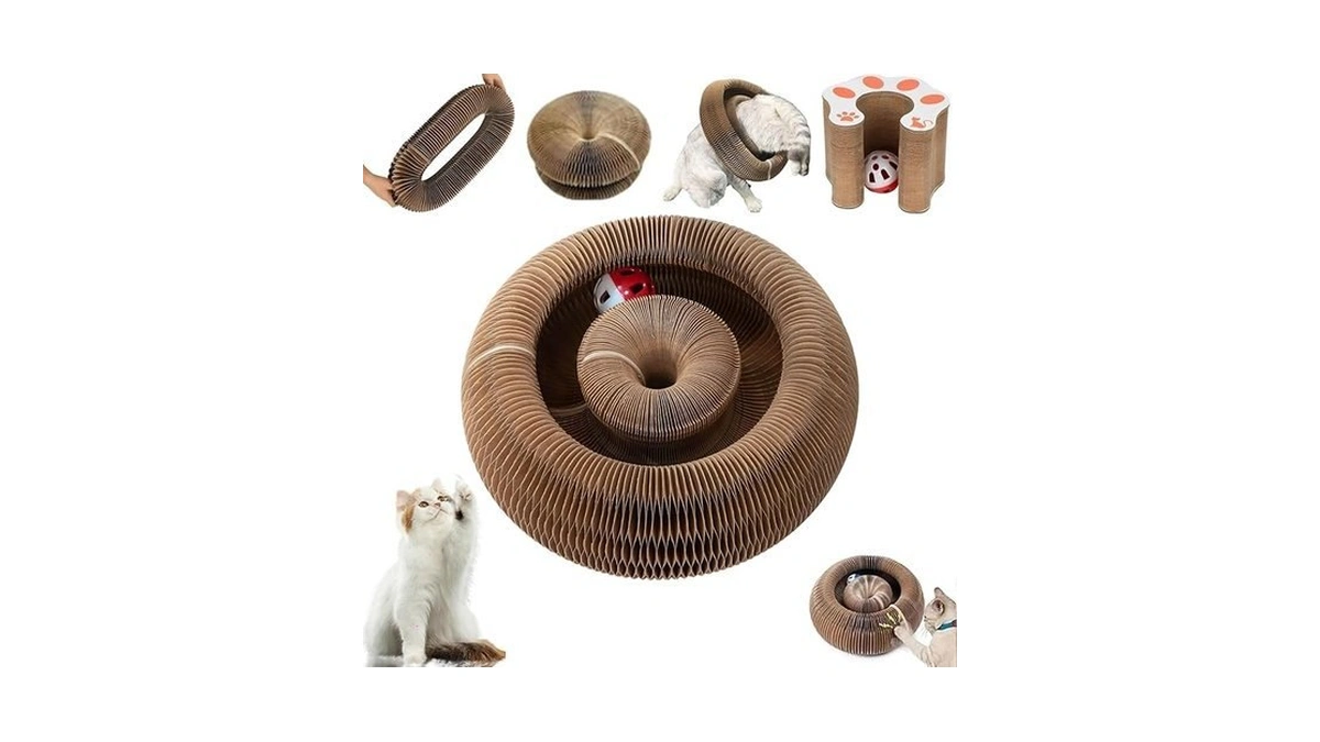 Kitty Curls Cat Toy,magic Organ Cat Toy,cat Scratcher For Grinding