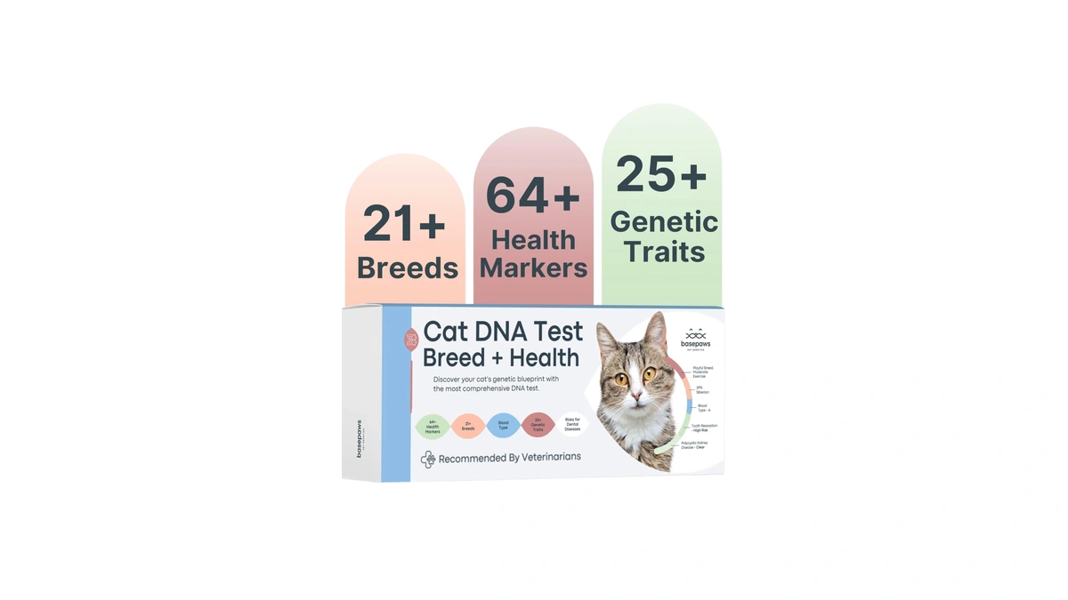 Basepaws Cat Dna Test Kit - Comprehensive Breed, Health And