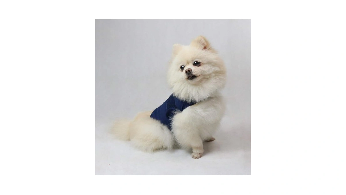 Mchy Dog Anxiety Vest, Anxiety Relief For Dogs, Dog Calming