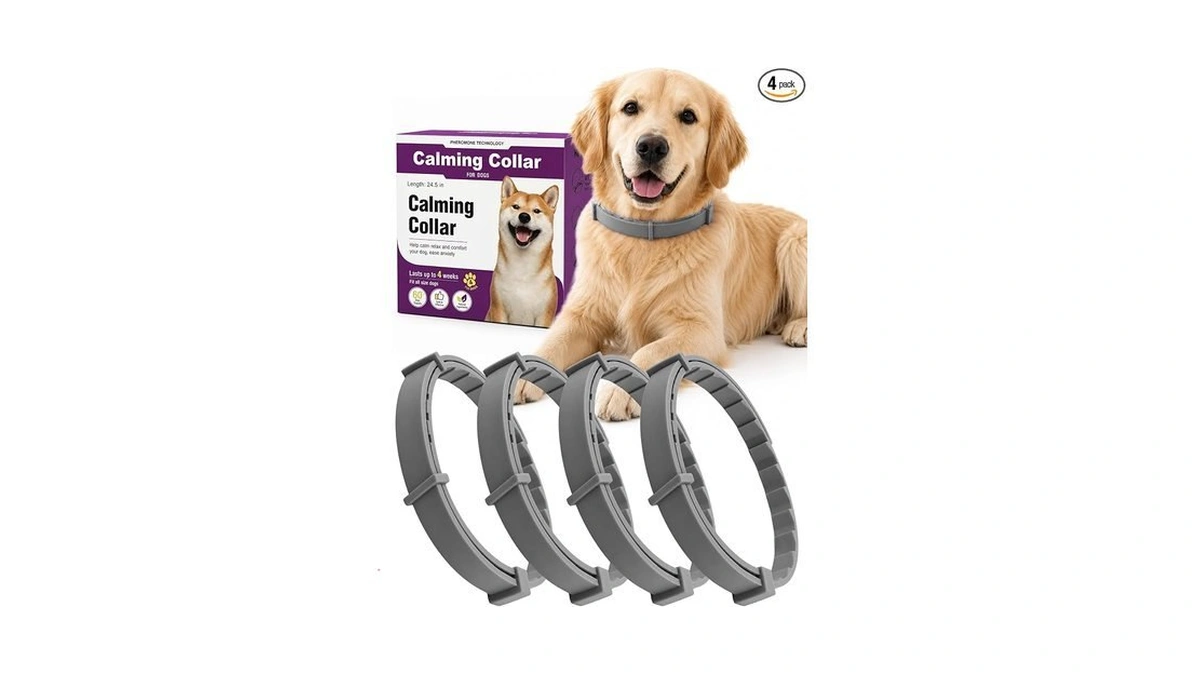 Fyabreek Calming Collar For Dogs - Separation Anxiety Relief For