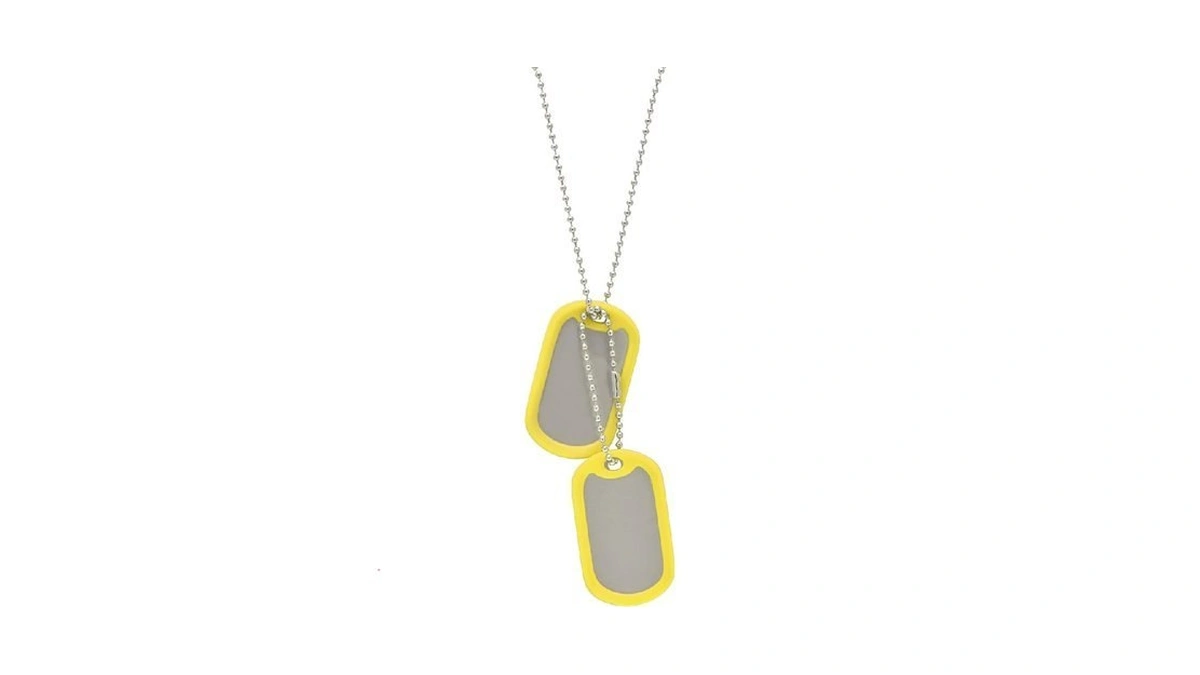 Paialco Stainless Steel Dog Tags Military Set Complete With Chains
