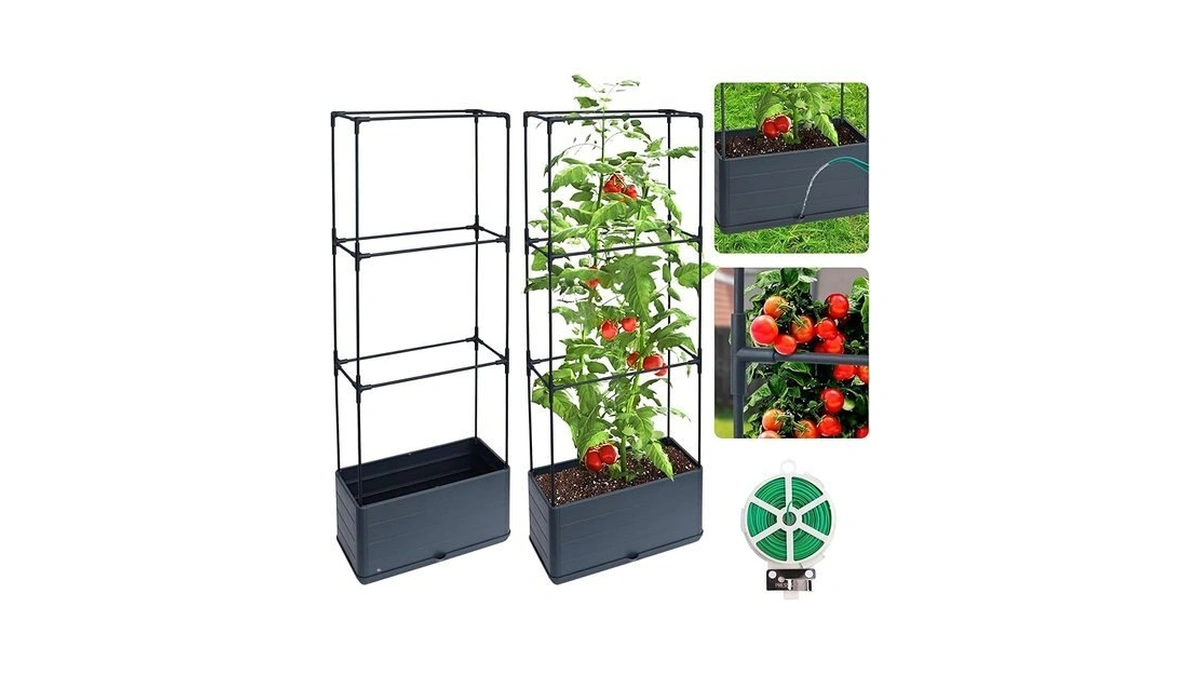 2 Packs Raised Garden Bed Tomato Planter Box With Trellis,