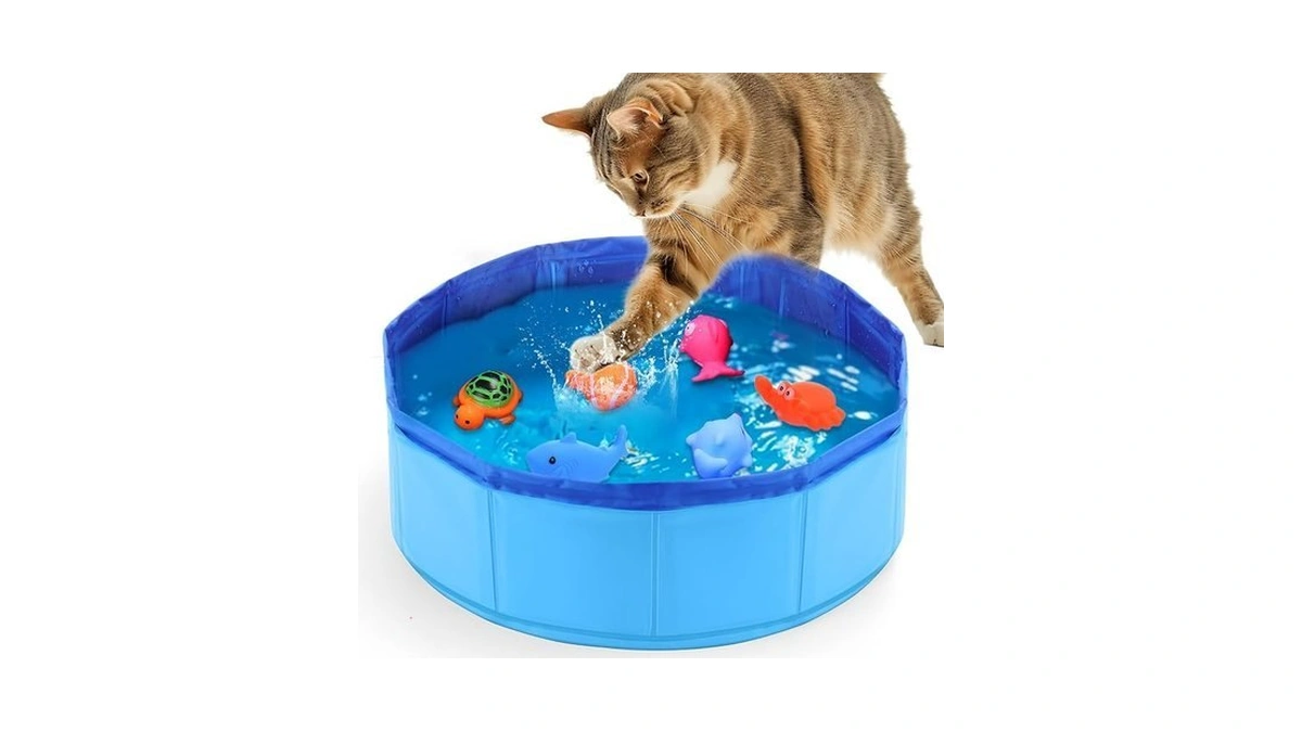 Mity Rain Cat Water Toy