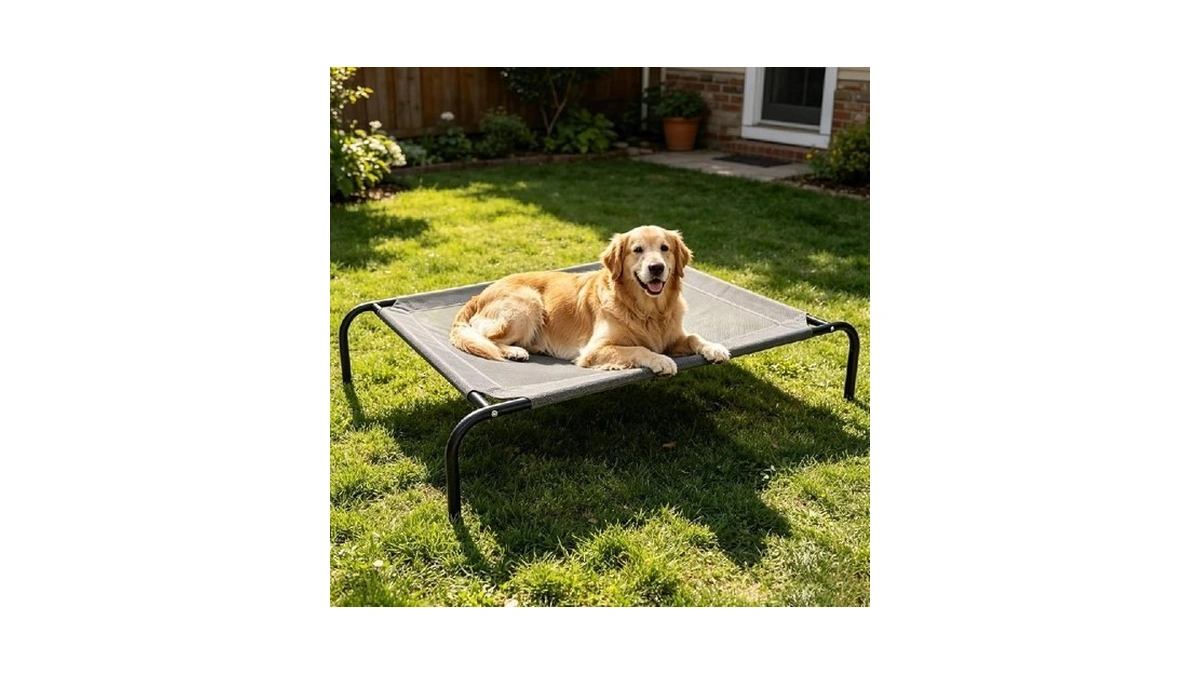 Elevated Dog Bed - Portable Outdoor Raised Cot & Folding