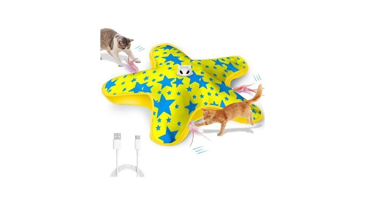 Rechargeable Interactive Cat Toys, Automatic Cat Toy For Indoor Cats,
