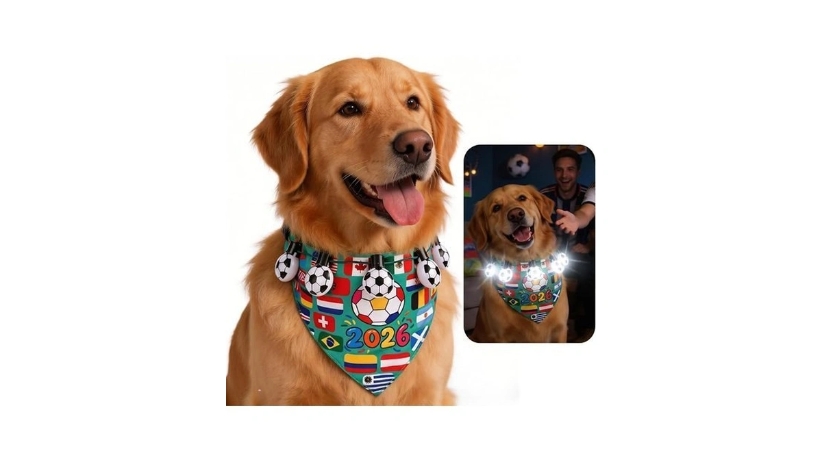 Dog Bandanas 2026 Soccer Championship Theme Adjustable Pet Football Scarf