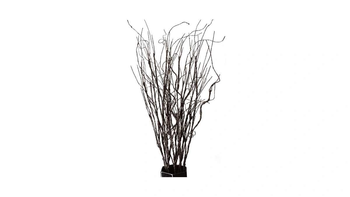 Feili Pcs Lifelike Curly Willow Branches Deco...