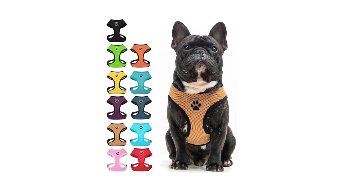 Bingpet Small Dog Harness, No Pull Dog Harness Small Sized