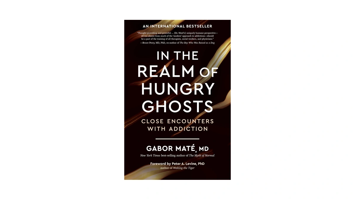 In The Realm Of Hungry Ghosts: Close Encounters With Addiction