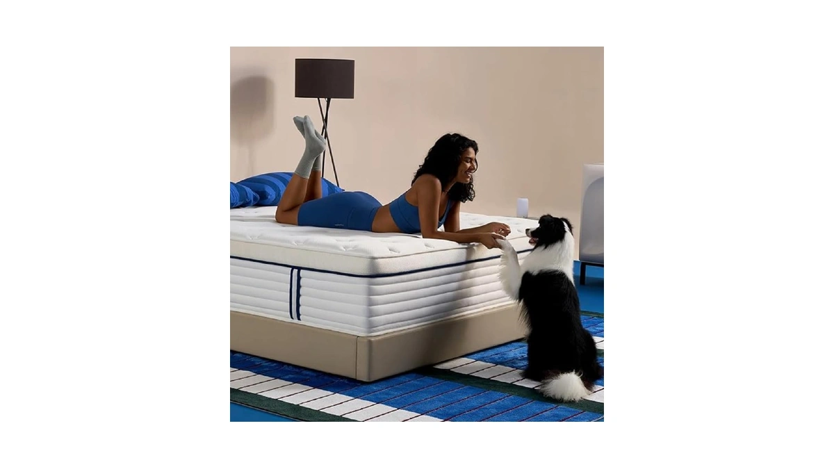 Rejusleep 12 Inch Queen Size Mattress, Hybrid Mattress In A