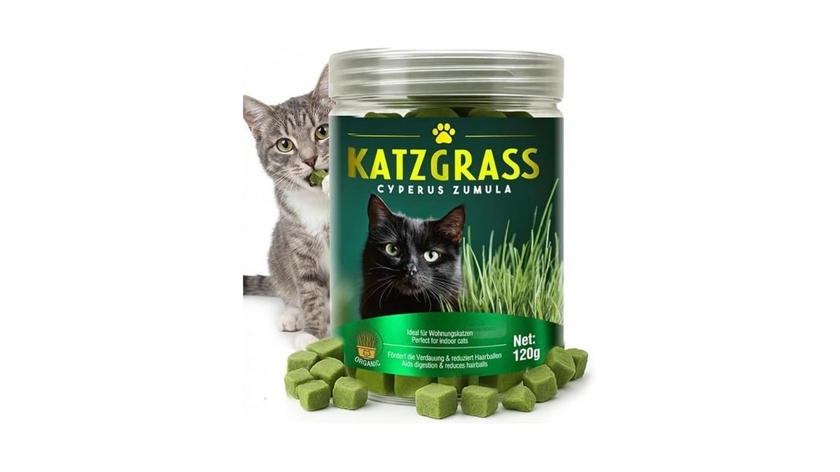 Cat Grass Treats For Indoor Cats, Crunchy Wheatgrass Snacks For