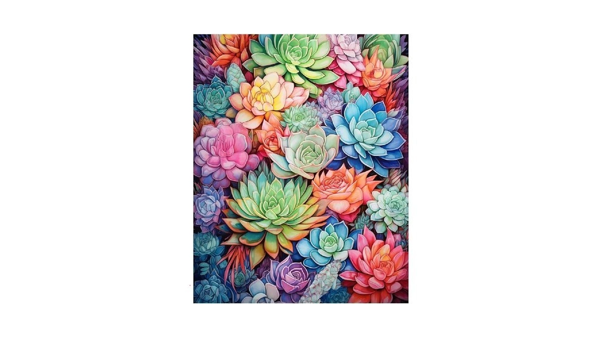 Paint By Numbers Kit For Adults, Succulent Paint By Numbers,